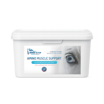 AMINO MUSCLES SUPPORT 1,5kg