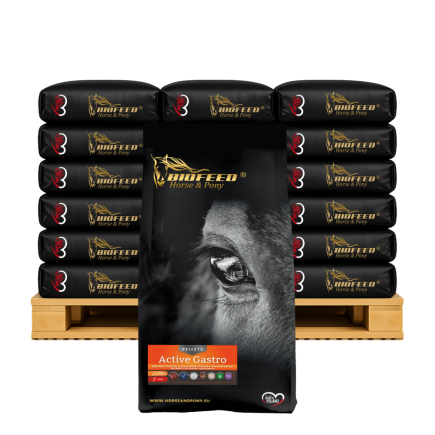 ACTIVE GASTRO PELLET 40 X 25KG
