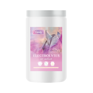 ELECTROLYTES CO-ACTIVE 1,4kg