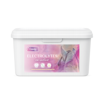 ELECTROLYTES CO-ACTIVE 2,7kg