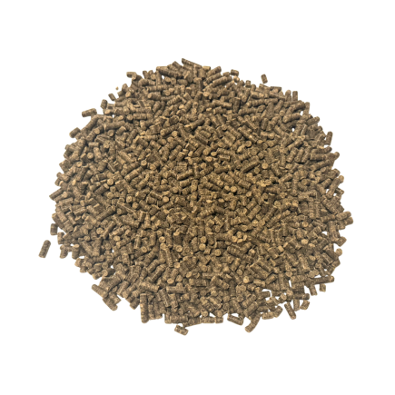 ACTIVE GASTRO PELLET 25kg