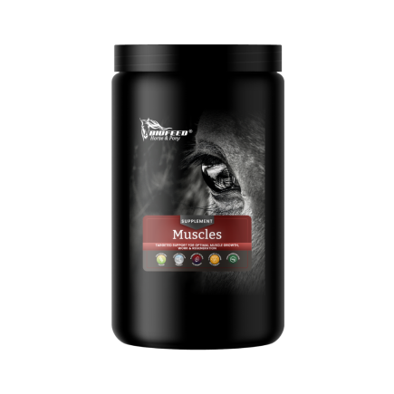 MUSCLES 1kg