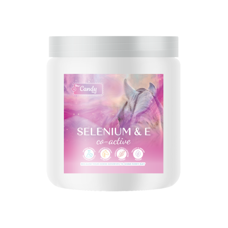SELENIUM & E CO-ACTIVE 0,3kg SELENIUM & E CO-ACTIVE 0,3kg