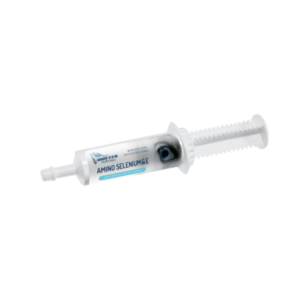 AMINO SELENIUM & E 100ml