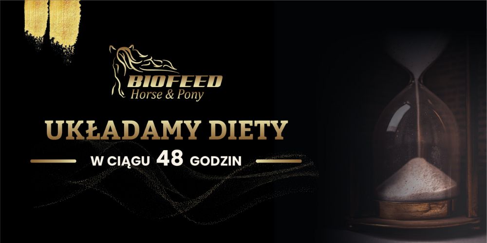 Układamy biety