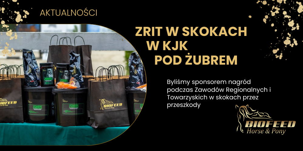 ZRiT w skokach w KJK Pod Żubrem