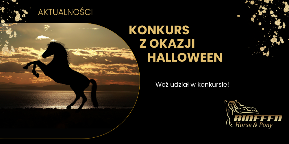 Konkurs z okazji Halloween - regulamin
