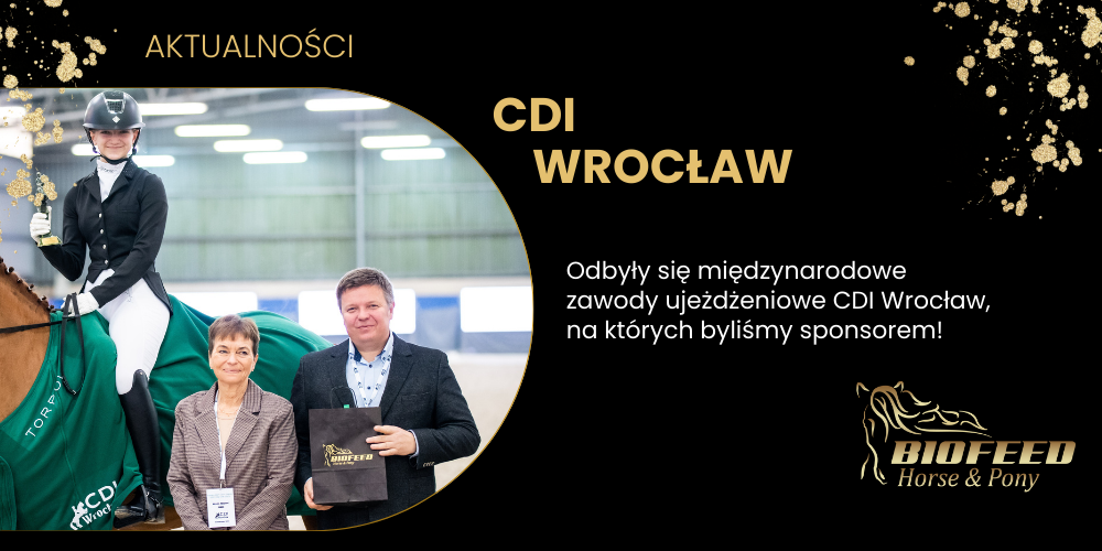 CDI Wrocław