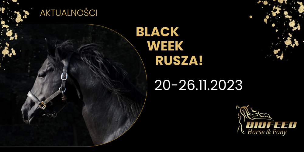Black Week z BioFeed Horse&Pony