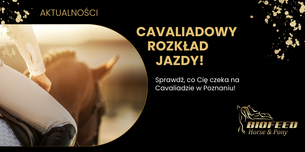 Sprawdź, co Cię czeka na Cavaliadzie w Poznaniu!