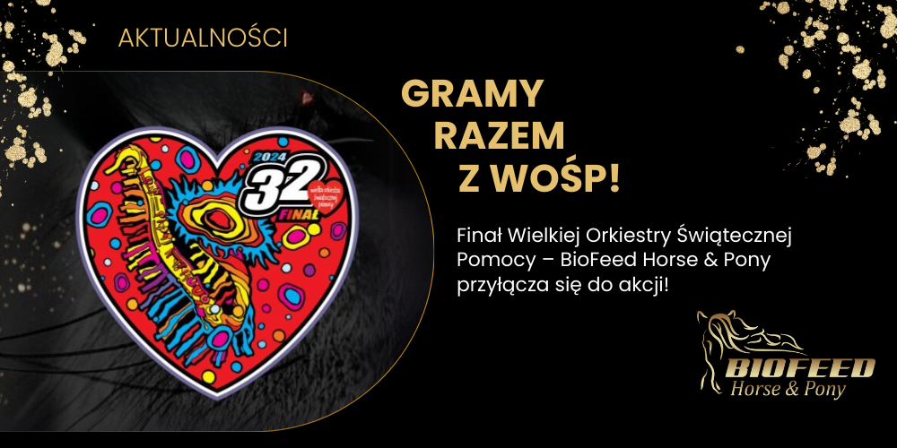 Gramy razem z WOŚP!