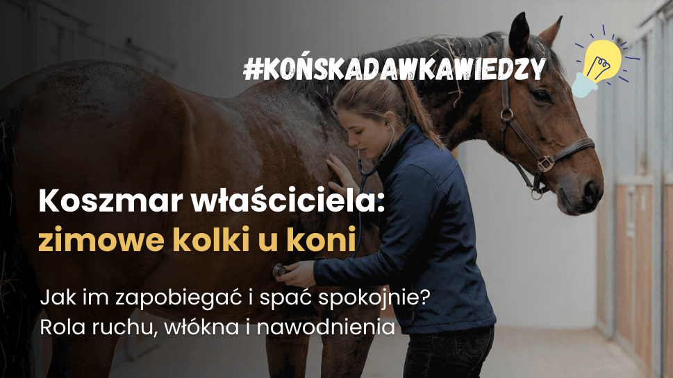 Zimowe kolki u koni: przyczyny, objawy, leczenie i zapobieganie