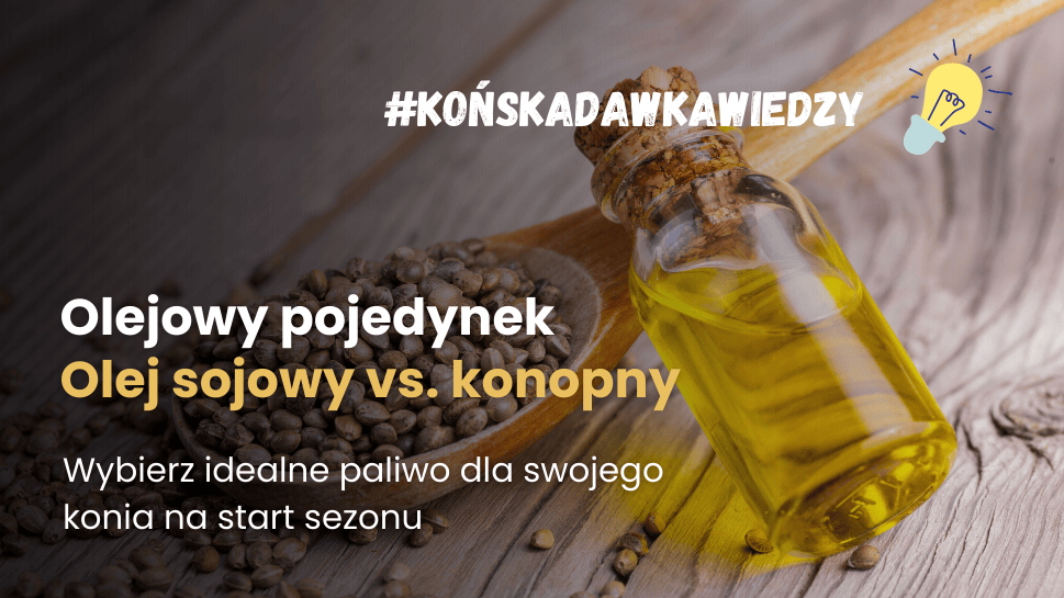 Olejowy pojedynek: olej sojowy vs. konopny. Jaki olej dla koni wybrać na start sezonu?