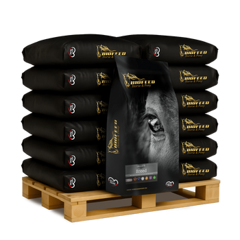 Paleta BIOFEED Horse & Pony Breed Pellets 40x 25 kg