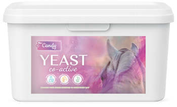BIOFEED Horse & Pony Candy Yeast Co-Active 3,8 kg