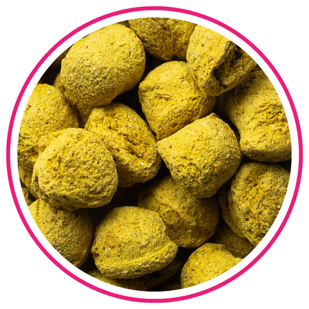 BIOFEED Horse & Pony Candy Cookies Banana with turmeric 20 kg