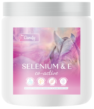 BIOFEED Horse & Pony Selenium & E Co-Active 300 g