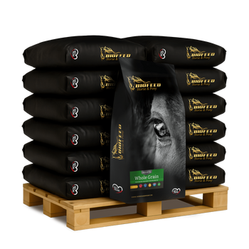 Paleta BIOFEED Horse & Pony Whole Grain Pellets 40x 25 kg