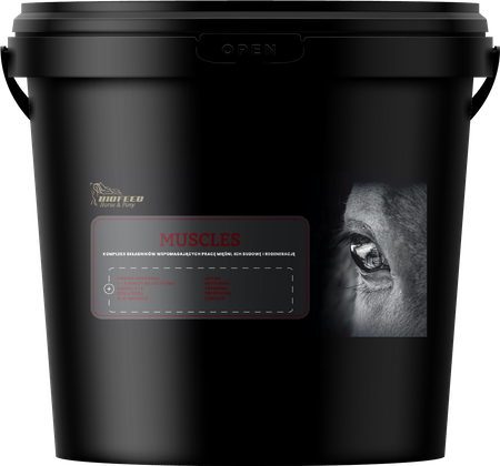 BIOFEED Horse & Pony Muscles 6 kg
