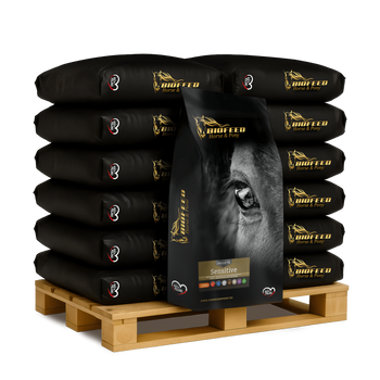 Paleta BIOFEED Horse & Pony Sensitive Pellets Grain Free 40x 25 kg