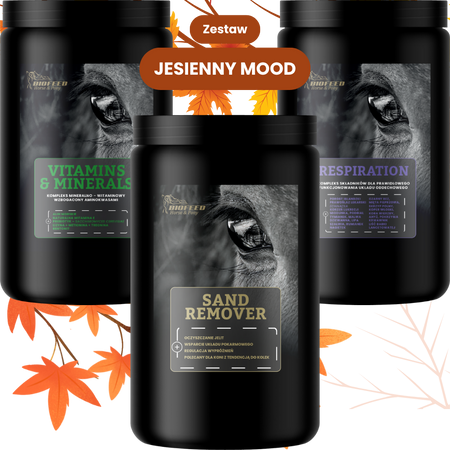 ZESTAW: Vitamins & Minerals 1000 g + Respiration 900 g + Sand Remover 800 g