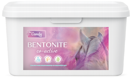 BIOFEED Horse & Pony Candy Bentonite Co-Active 2 kg