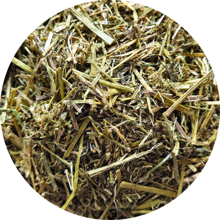 ZESTAW: Sieczka z lucerny bez melasy BIOFEED Horse & Pony Alfalfa with canola oil 20 kg + Candy Vitamins & Minerals 1,8 kg