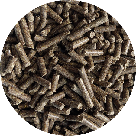 Próbka BIOFEED Horse & Pony Sensitive Pellets Grain Free 1 kg (stabilopack)