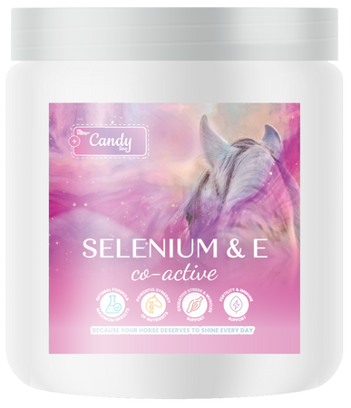 BIOFEED Horse & Pony Selenium & E Co-Active 300 g