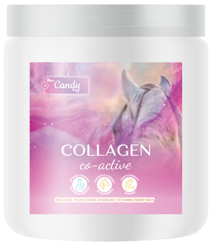 BIOFEED Horse & Pony Collagen Co-Active 300 g