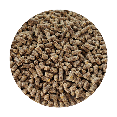 Paleta BIOFEED Horse & Pony Daily Comfort Breed 40x 25 kg