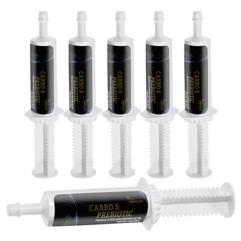 ZESTAW: 6 x BIOFEED Horse & Pony Carbo & Prebiotic 100 ml
