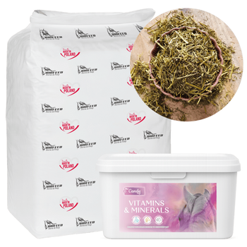 ZESTAW: Sieczka z lucerny bez melasy BIOFEED Horse & Pony Alfalfa with canola oil 20 kg + Candy Vitamins & Minerals 1,8 kg