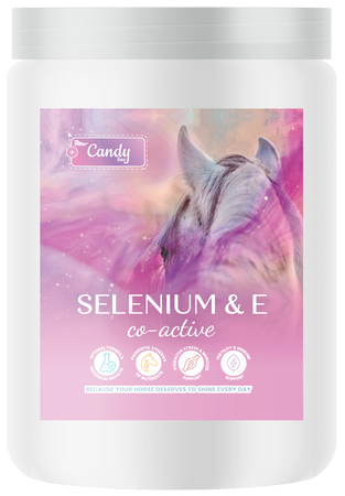 BIOFEED Horse & Pony Selenium & E Co-Active 900 g