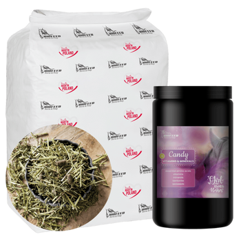 ZESTAW: Sieczka z lucerny BIOFEED Horse & Pony Alfalfa Original 20 kg + Candy Vitamins & Minerals 900 g
