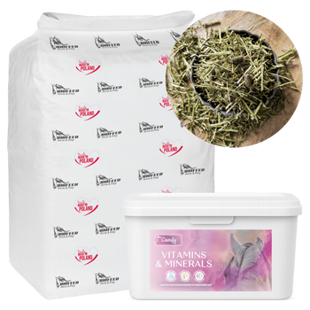 ZESTAW: Sieczka z lucerny BIOFEED Horse & Pony Alfalfa Original 20 kg + Candy Vitamins & Minerals 3,6 kg