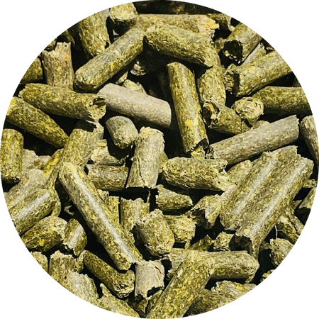 Lucerna dla koni BIOFEED Horse & Pony Alfalfa Granulated 20 kg