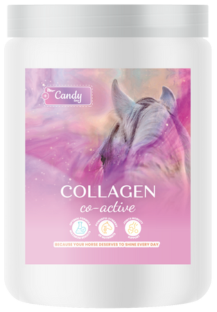 BIOFEED Horse & Pony Collagen Co-Active 900 g