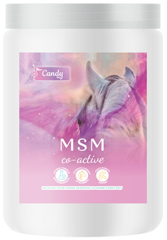 BIOFEED Horse & Pony MSM Co-Active 750 g
