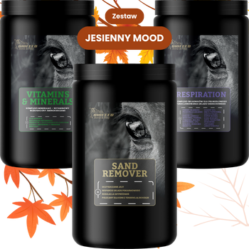 ZESTAW: Vitamins & Minerals 1000 g + Respiration 900 g + Sand Remover 800 g