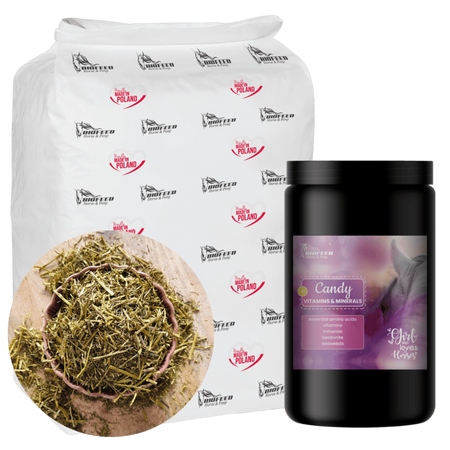 ZESTAW: Sieczka z lucerny bez melasy BIOFEED Horse & Pony Alfalfa with canola oil 20 kg + Candy Vitamins & Minerals 900 g