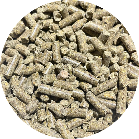 BIOFEED Horse & Pony Respiration 900 g (słoik PET)
