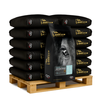 Paleta BIOFEED Horse & Pony Calm Musli 50x 20 kg