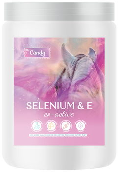 BIOFEED Horse & Pony Selenium & E Co-Active 900 g