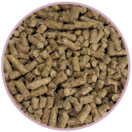 ZESTAW: Sieczka z lucerny BIOFEED Horse & Pony Alfalfa Original 20 kg + Candy Vitamins & Minerals 900 g