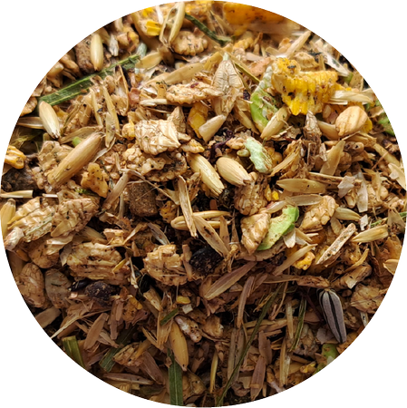 BIOFEED Horse & Pony Veterans Musli 20 kg