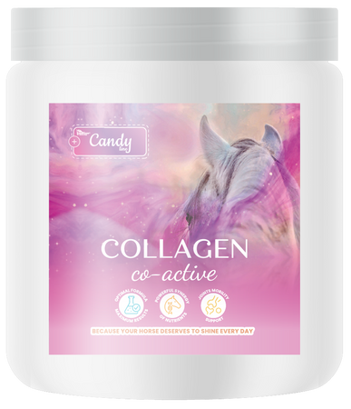 BIOFEED Horse & Pony Collagen Co-Active 300 g