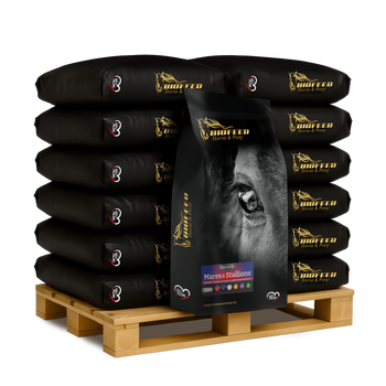 Paleta BIOFEED Horse & Pony Mares & Stallions Pellets 40x 25 kg