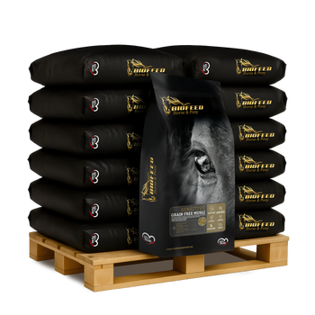Paleta BIOFEED Horse & Pony Sensitive Grain Free Musli 50x 20 kg