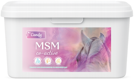 BIOFEED Horse & Pony MSM Co-Active 1,5 kg